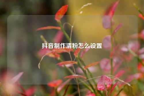 抖音制作清粉怎么设置