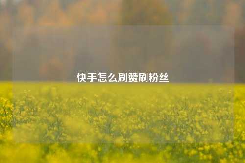 快手怎么刷赞刷粉丝
