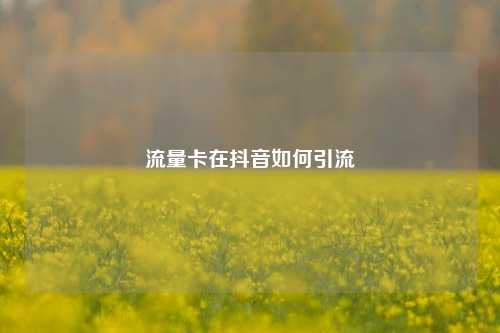 流量卡在抖音如何引流
