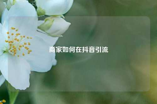 商家如何在抖音引流