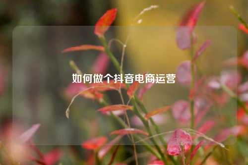 如何做个抖音电商运营