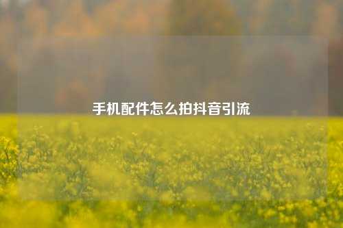 手机配件怎么拍抖音引流