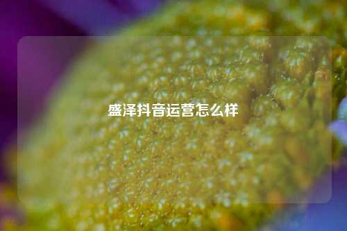 盛泽抖音运营怎么样