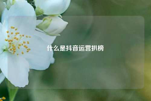 什么是抖音运营扒榜