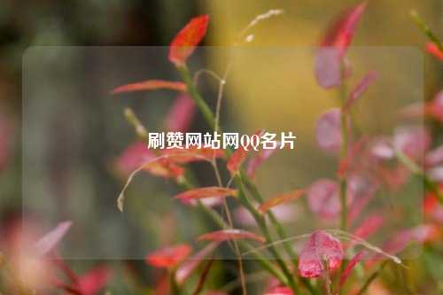 刷赞网站网QQ名片
