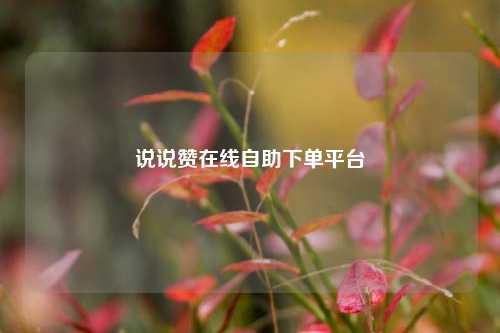 说说赞在线自助下单平台