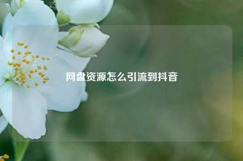 网盘资源怎么引流到抖音