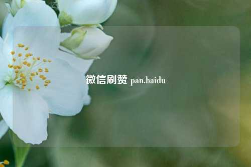 微信刷赞 pan.baidu