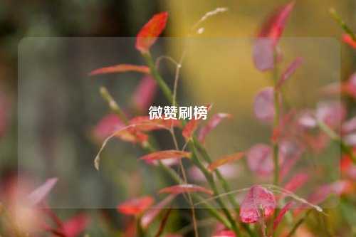 微赞刷榜