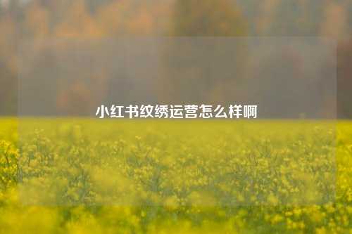 小红书纹绣运营怎么样啊