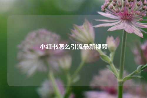 小红书怎么引流最新视频